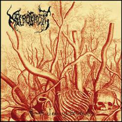 Necrobiosis (FIN) : The Pile of Decayed Entrails (Compilation)